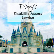disability access service